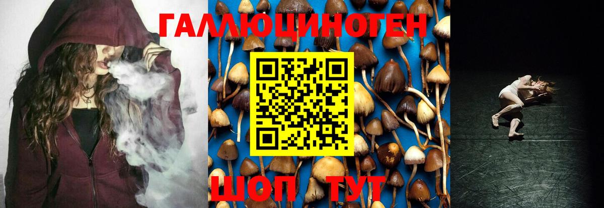Урус-Мартан  Галлюциногенные грибы Psilocybine cubensis  Вход с VPN  сколько стоит  Галлюциногенные грибы MAGIC MUSHROOMS 